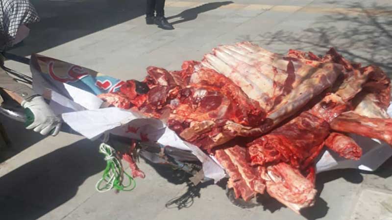 حمل گوشت غیر بهداشتی در روزهای شیوع بیماری کرونا/ غیبت معنادار دامپزشکی استان