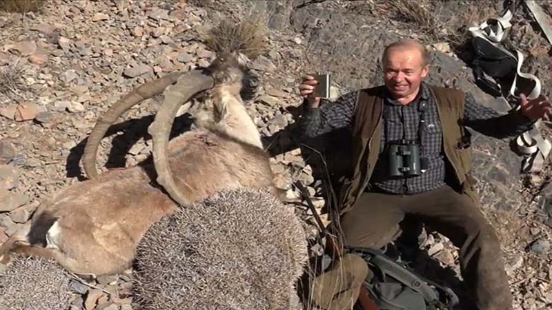 ۹۹ درصد شکار حیوانات حرام گوشت ایلام توسط غیربومیان انجام می شود