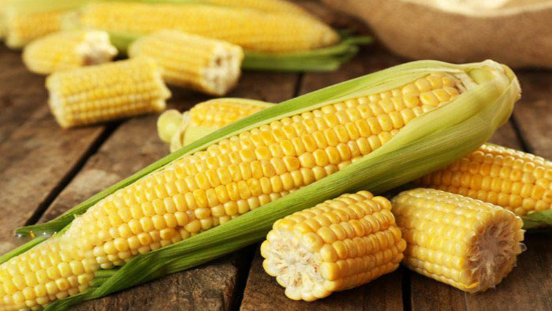 ذرت و جو ۷۵۰ تا ۸۰۰ تومان گران‌تر از نرخ مصوب فروخته می‌شود/ عدم تخصیص ارز و سامانه بازارگاه مقصران گران فروشی‌ها