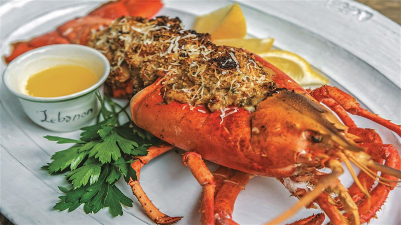 پاسخ شفاف امور دینی ترکیه به شائبات درباره آبزیان حرام‌گوشت 