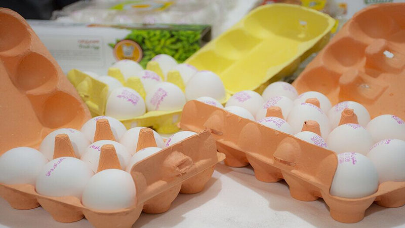 عرضه تخم‌مرغ بسته‌بندی شده از شهریورماه الزامی است