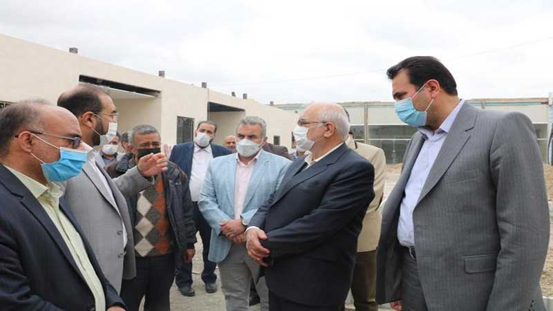 بازدید اعضای شورای شهر مشهد از بازار پرندگان زینتی و حیوانات خانگی