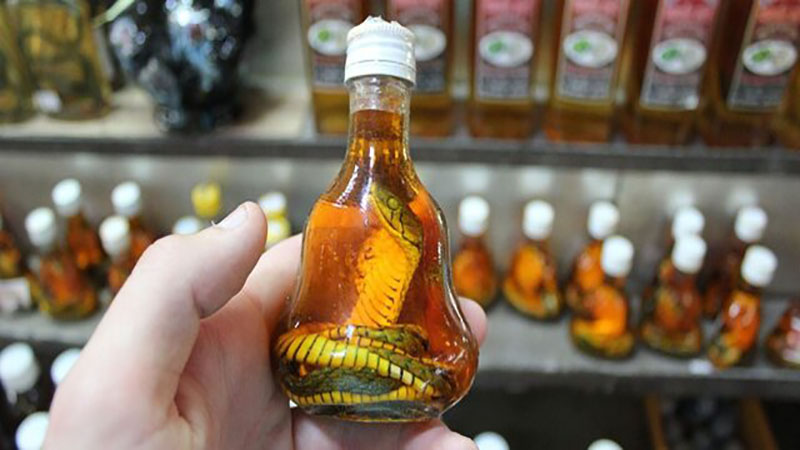 تجارت حیوانات وحشی را متوقف کنید