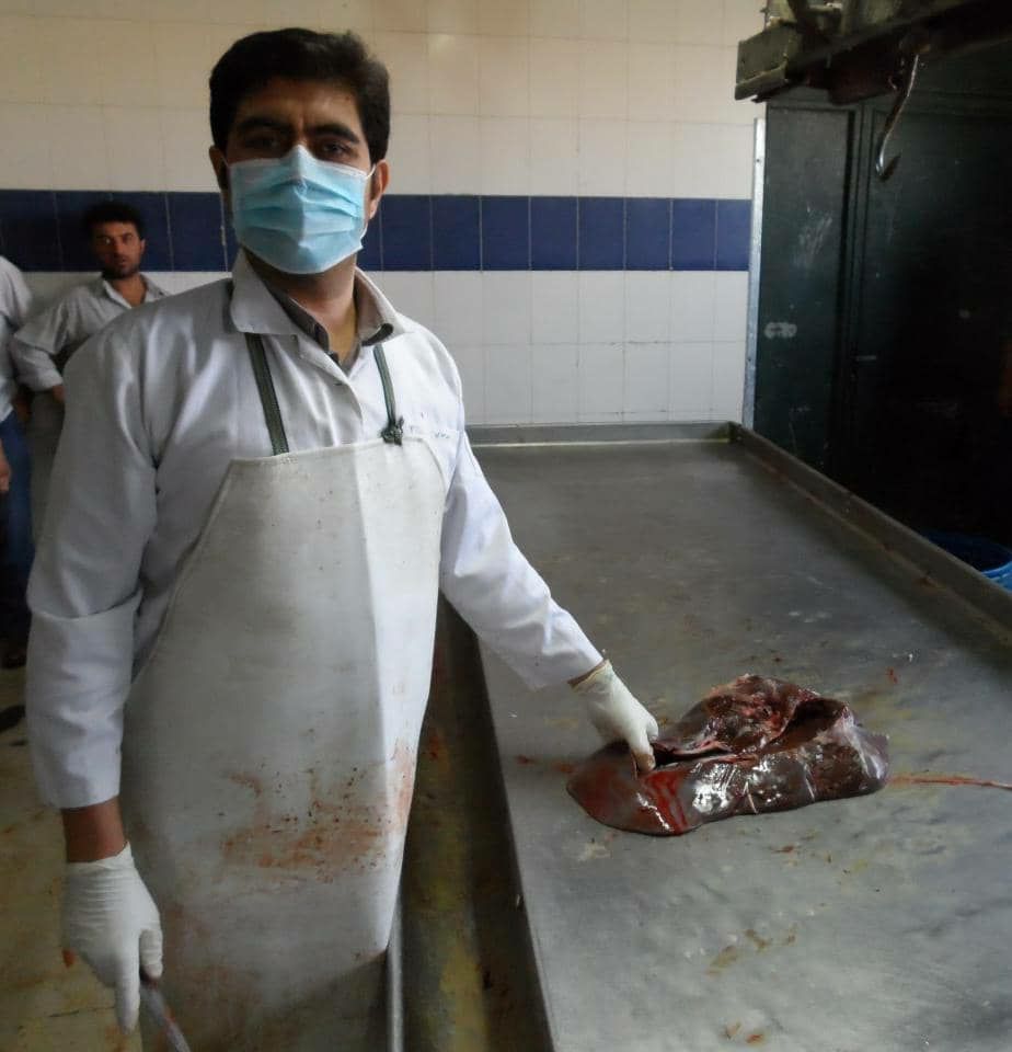 دکتر میرجلال سیدرسولی