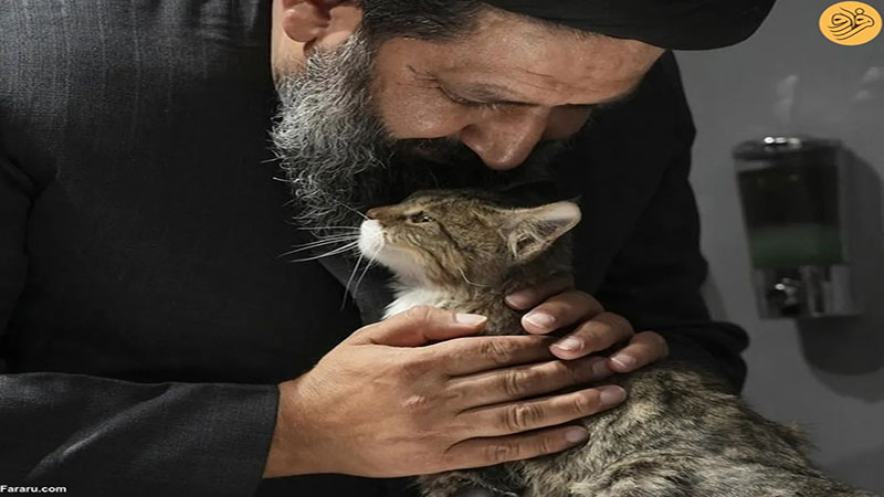 این روحانی از سگهای خیابانی در قم پرستاری میکند