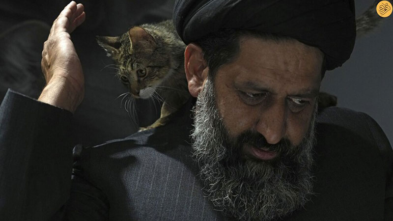 این روحانی از سگهای خیابانی در قم پرستاری میکند