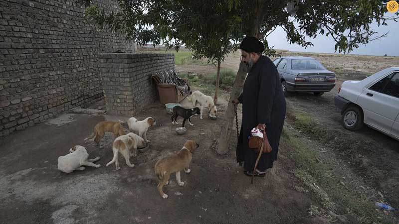 این روحانی از سگهای خیابانی در قم پرستاری میکند
