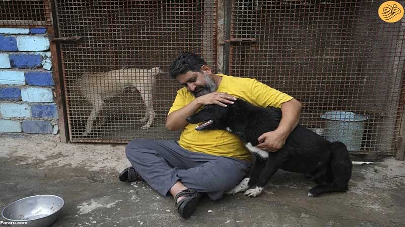 این روحانی از سگهای خیابانی در قم پرستاری میکند