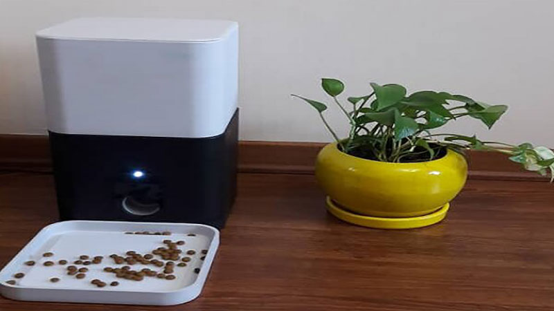 تولید اولین دستگاه هوشمند جهان برای تامین آب حیوانات خانگی