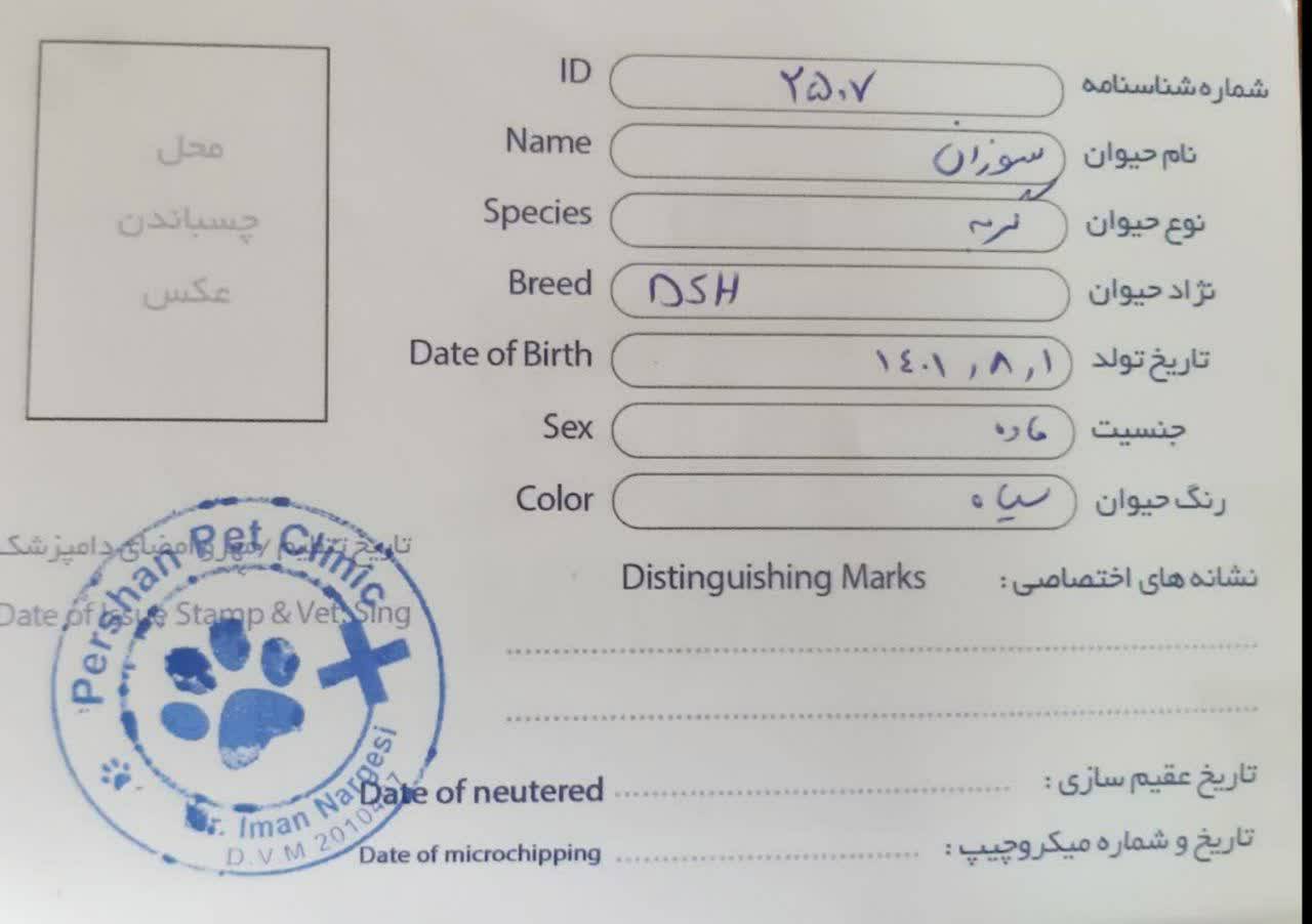 نام حیوانات خانگی, شبکه دامپزشکی مشهد