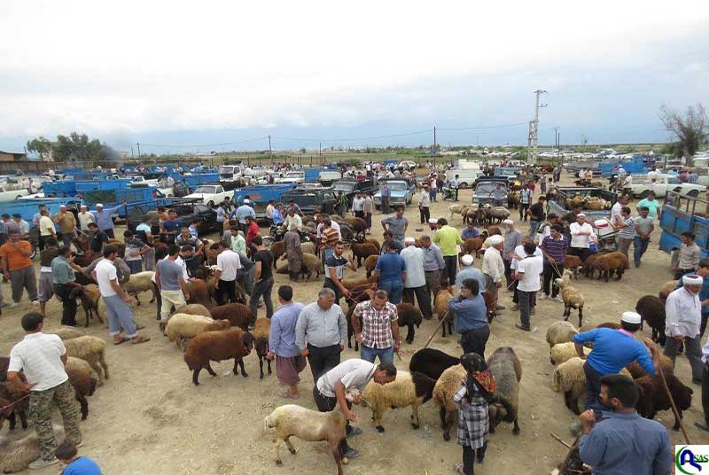 میدان دواب بوکان برای کنترل شیوع کرونا دوباره تعطیل شد