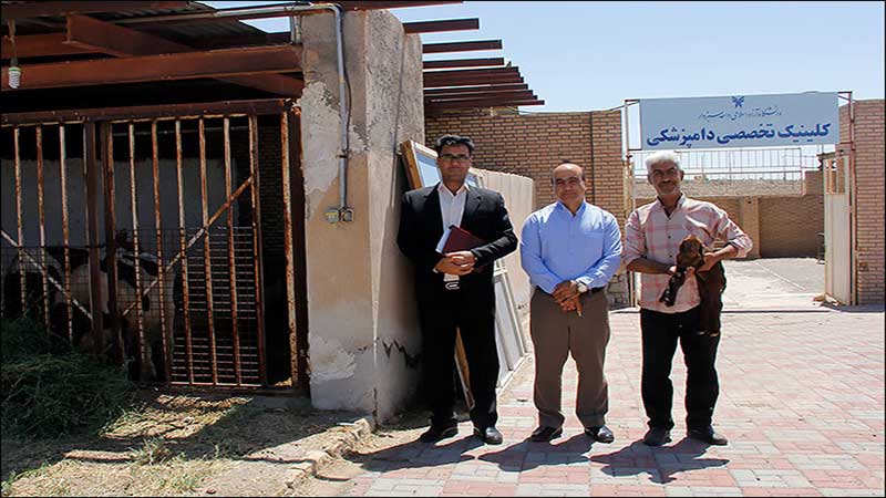 مدیر گروه دامپزشکی دانشگاه آزاد اسلامی واحد سبزوار خبر داد؛ تولد دومین بره در کلینیک تخصصی دامپزشکی دانشگاه آزاد سبزوار