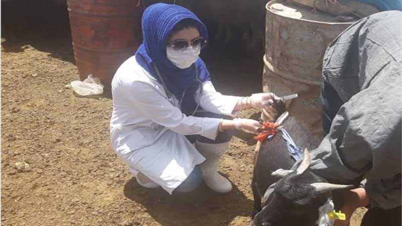 پیش ثبت‌نام شرکت در اولین طرح خدمت رسانی به مناطق محروم از سوی گروه جهادی دکتر میرلاشاری دانشگاه زابل آغاز شد