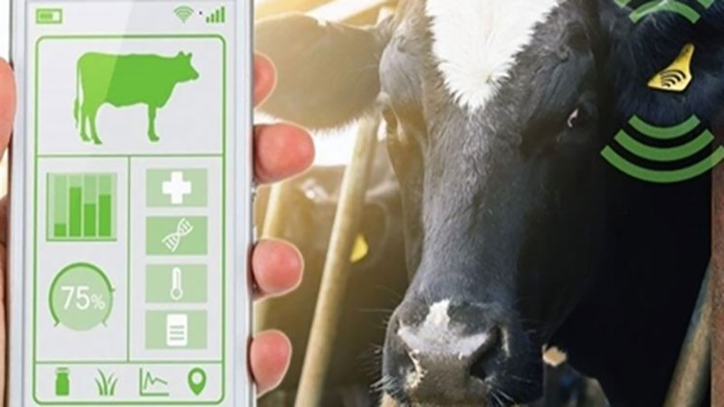 استفاده از فناوری‌های برتر جهانی برای توسعه صنعت دام، طیور و آبزیان در کشور