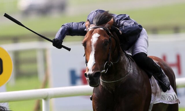 مدیرکل دامپزشکی خراسان شمالی مطرح کرد: لزوم پذیرش و تدریس رشته های مرتبط با اسب در خراسان شمالی