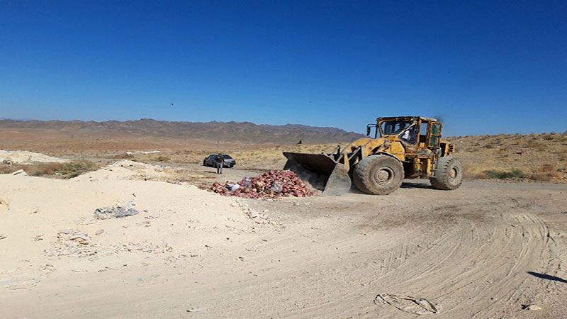 بیش از 1 تن آلایش خوراکی دام در تربت‌حیدریه معدوم شد