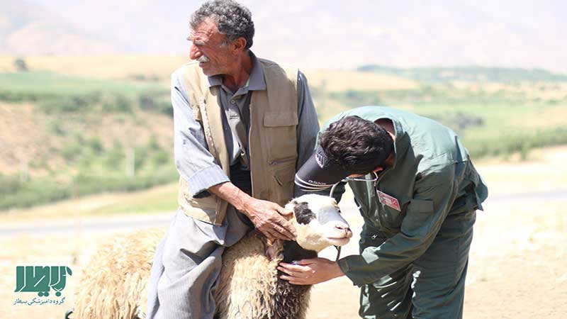«کاروان سلامت دام» ستاد اجرایی فرمان امام خمینی (ره) با حضور ۲۰ نفر از دامپزشکان عمومی و متخصص در خراسان جنوبی مستقر شد