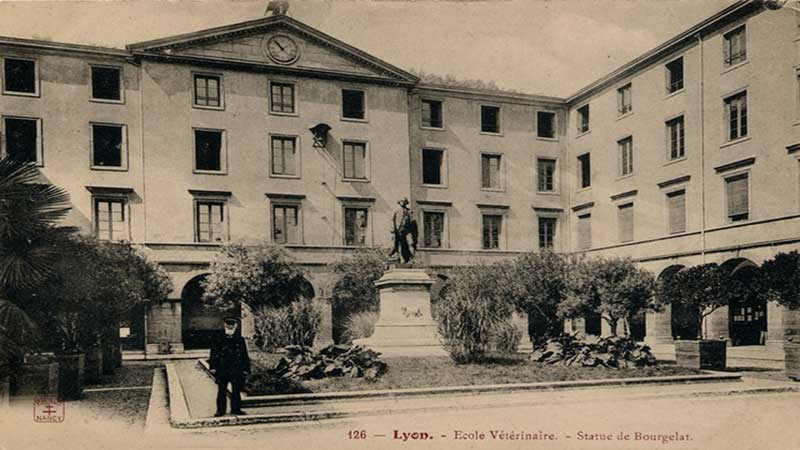 اولین مدرسه دامپزشکی در لیون فرانسه