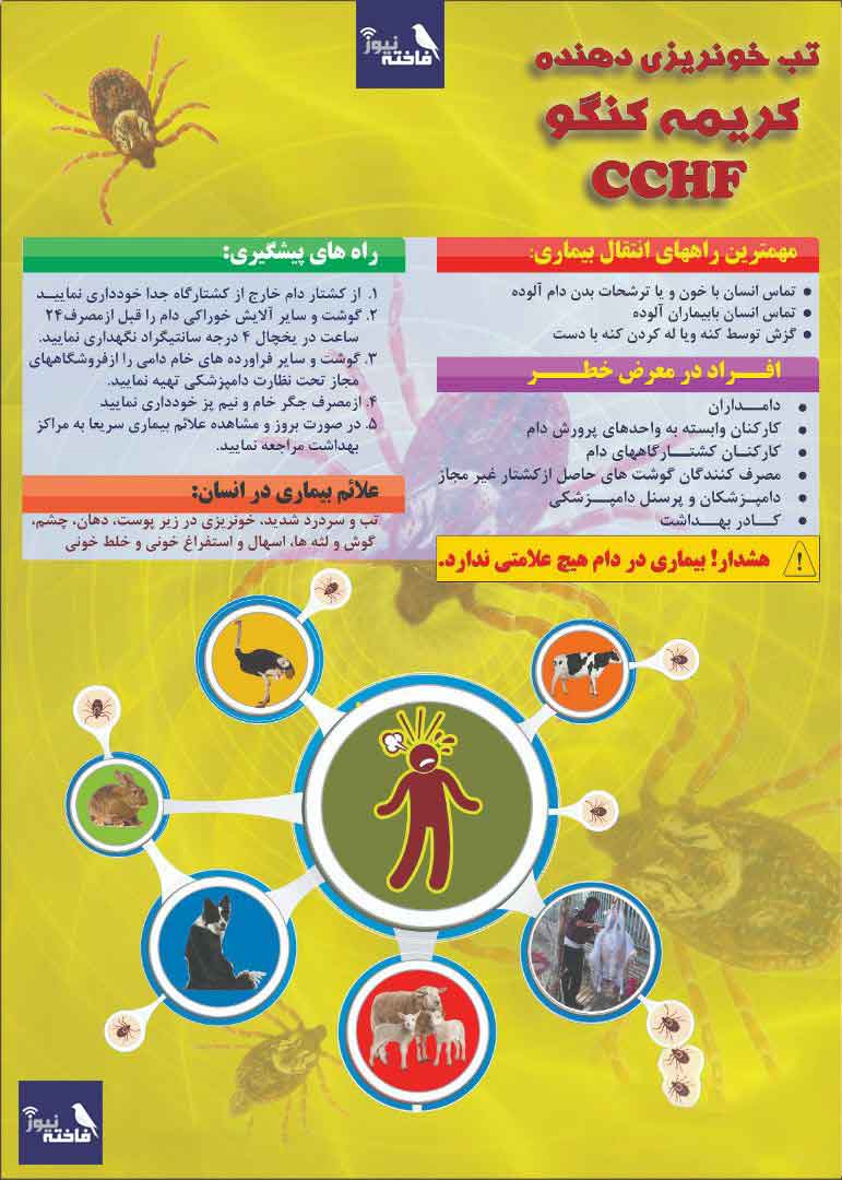 اینفوگرافی تب کریمه کنگو