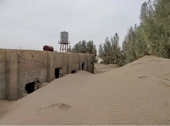 وقتی بی تدبیری باعث دفن مرغداری ها در سیستان می شود