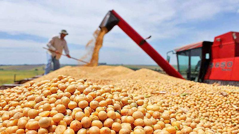 کشف ۱۰۴ تن سویای ناسالم در سمنان