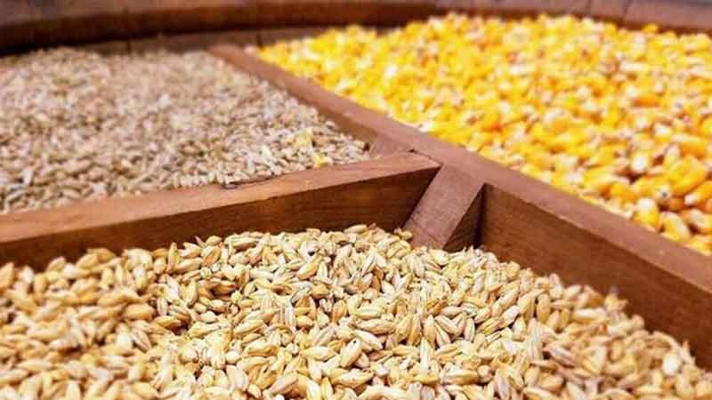 تخصیص ۶.۵ میلیارد دلار برای واردات نهاده‌های دامی