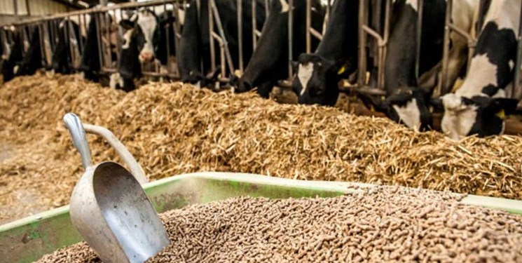 نهاده ها قطره چکانی ترخیص می شوند