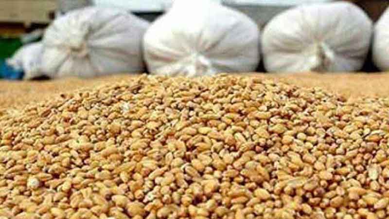 توقیف محموله غیر مجاز خوراک دام و طیور در شهرستان بینالود