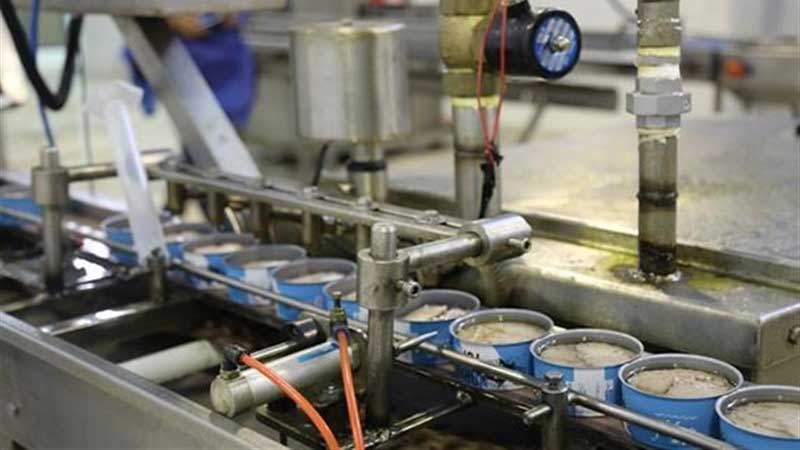 ارز واردات ماهی تن اختصاص نمی یابد/دپوی ماهی تن در گمرک