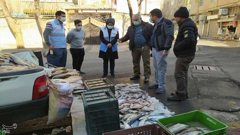 ۶۰۰ کیلو ماهی فاقد هویت از خودروهای حامل و فروش ماهی در ری کشف شد