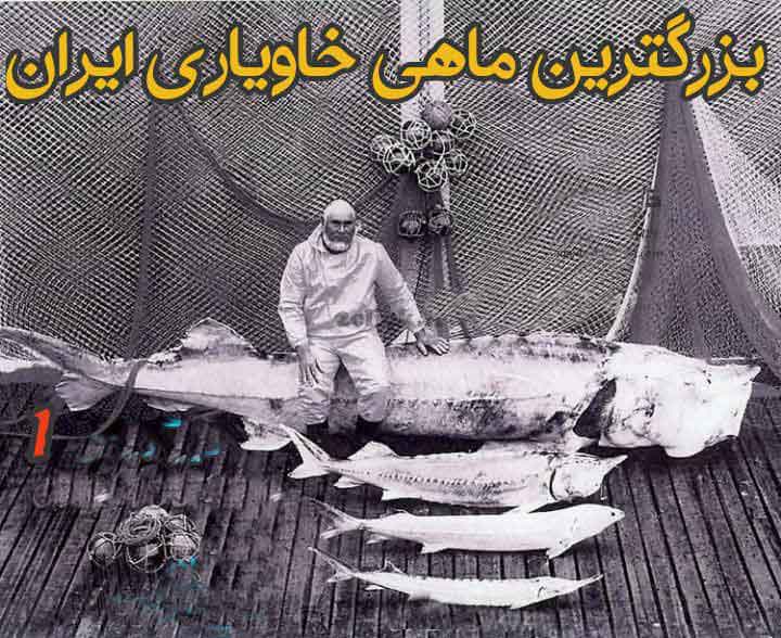 علیرضا کیهان پور ماهیان خاویاری