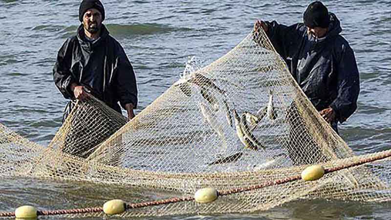 اقدام کم سابقه سازمان شیلات در تمدید زمان صید