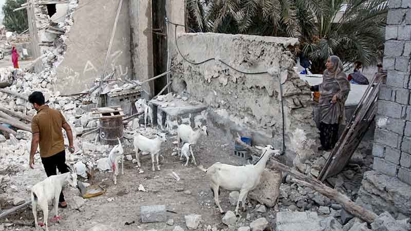 نیاز منطقه زلزله‌زده سایه‌خوش به پیشگیری از بیماری‌های مشترک انسان و دام/وجود اجساد رها شده با بوی نا مطبوع این حیوانات تلف شده در زیر آوار آغل ها و محل نگهداری این دام ها 