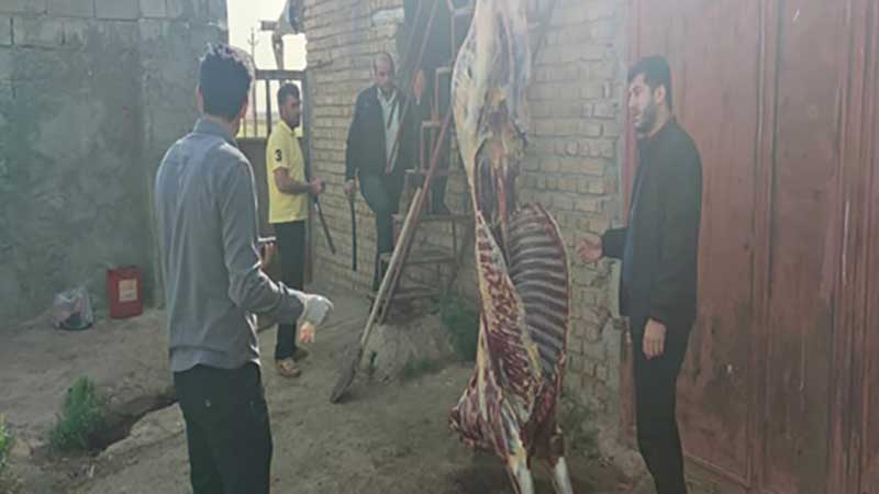 کشف لاشه اسب حاصل از کشتار غیرمجاز و غیربهداشتی در قروه