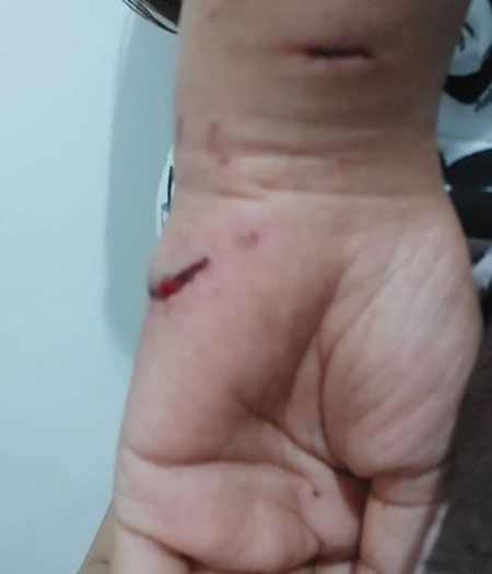 سولین قادری دامپزشک کردستان