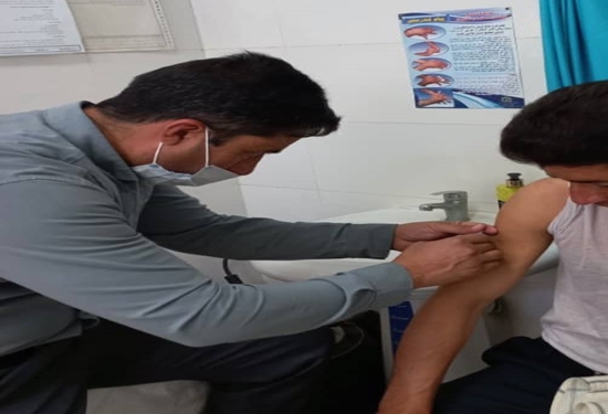 حمله یک قلاده سگ به مایه کوب اداره دامپزشکی شهرستان گرمه