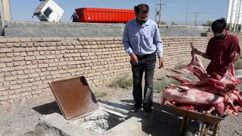 معدوم کردن ۲۰ لاشه گوسفند به دلیل مسمومیت با اوره 