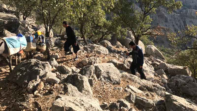 اعزام اکیپ‌های واکنش سریع دامپزشکی به مناطق زلزله‌زده استان خوزستان