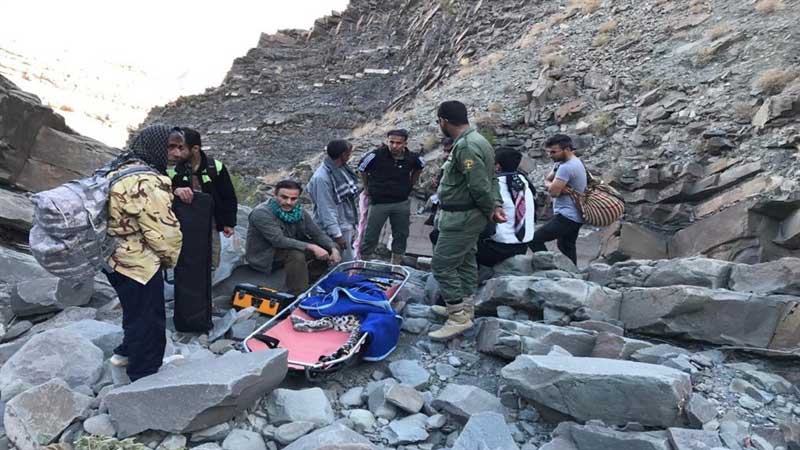 با وجود تمام تلاش دامپزشکان دستِ چپ پلنگ هرمزگان قطع شد