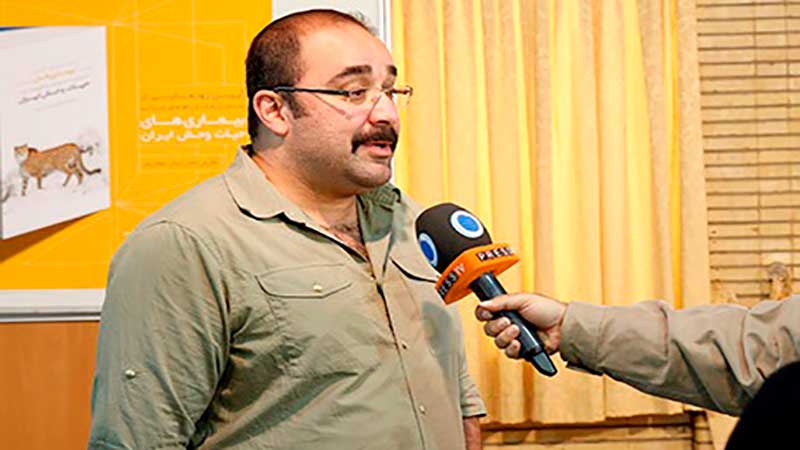 دامپزشک حیات وحش مطرح کرد: یوزپلنگ ها تولید مثل فصلی ندارند/آموزش جوامع محلی حداقل در مناطق چهارگانه باید انجام می شد