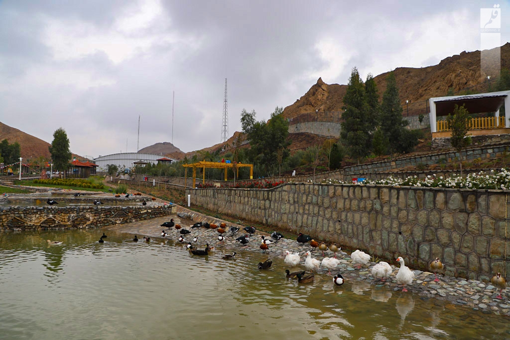 آمار سه هزار تلفات در باغ پرندگان کذب است / بازگشایی باغ پرندگان با اتمام زمان قرنطینه و اجرای دستورالعمل‌های پاکسازی