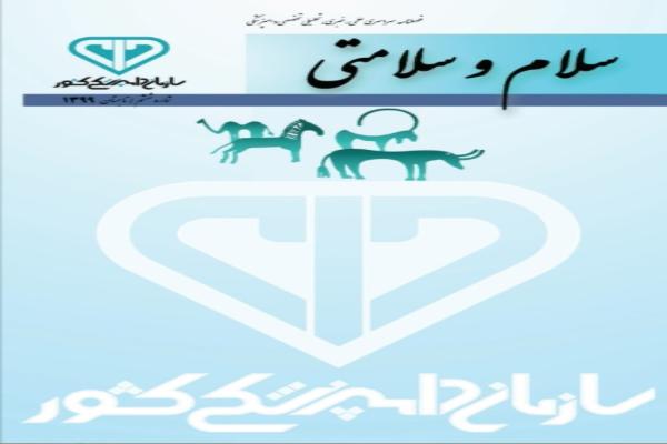 ششمین شماره فصلنامه «سلام و سلامتی» منتشر شد