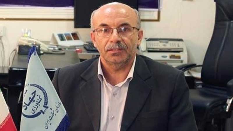 همکاری‌ شیلاتی ایران و چین براساس سند جامع ۲۵ ساله/ تلفات سنگین نتیجه قطعی برق استخرهای ماهی