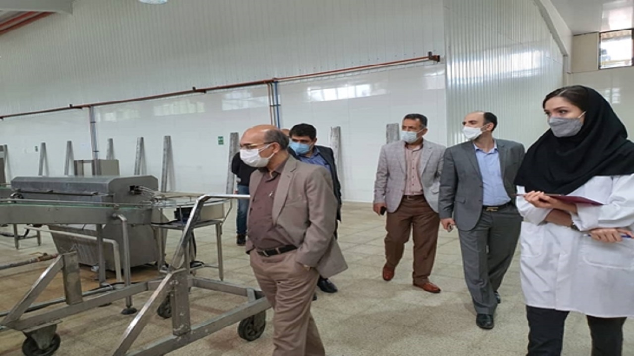 ممیزی یک کارخانه تولید کنسرو برای دریافت کد اتحادیه اروپا