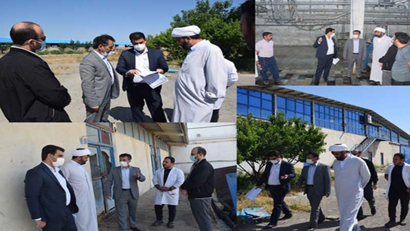 بازدید مدیر کل دامپزشکی استان اردبیل از کشتارگاه صنعتی دام شهرستان پارس آباد