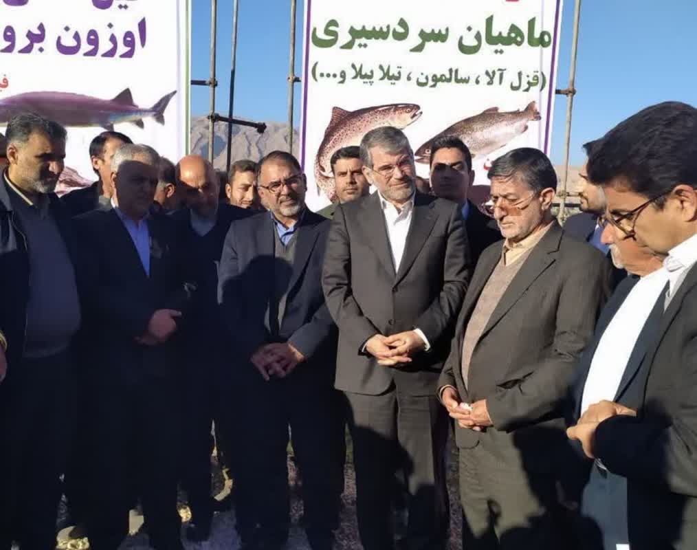 علیرضا کیهان پور, فاخته