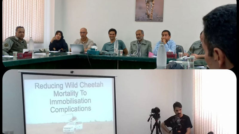 برگزاری دوره آموزشی روش های نگهداری و تکثیر یوزپلنگ با حضور دکتر پیتر کالدوِل