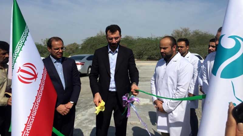 افتتاح اولین بیمارستان تخصصی و فوق تخصصی دامپزشکی جزیره کیش