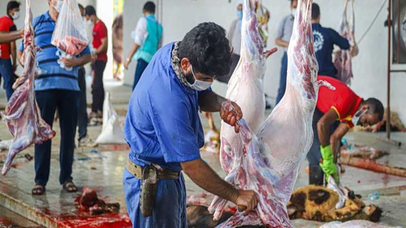 «آنتروتوکسمی» در سبزوار به ذبح اضطراری ۲۱ راس گوسفند منجر شد