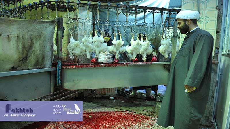 شورای فقهی برای ذبح شرعی در داخل و خارج کشور تشکیل می شود 